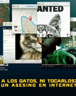 A los gatos ni tocarlos: Un asesino en Internet T1