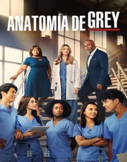 Anatomía de Grey temporada  1 online