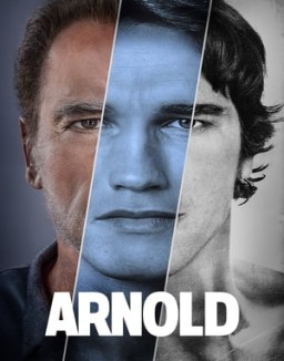 Arnold stream