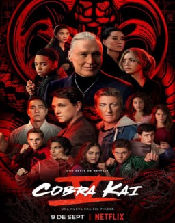 Cobra Kai temporada  1 online