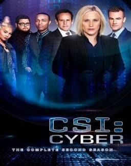 CSI: Cyber