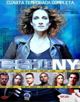 CSI: Nueva York temporada  4 online