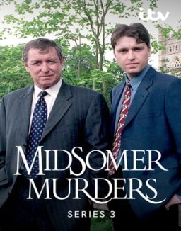 Los asesinatos de Midsomer temporada  3 online