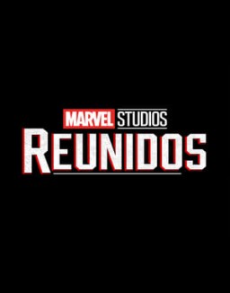 Marvel Studios: Reunidos T1