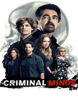 Mentes criminales stream