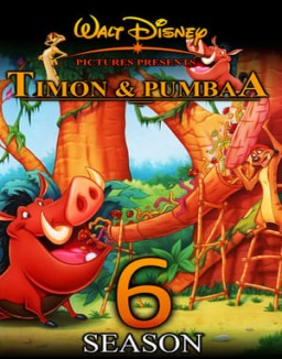 Timón y Pumba T6